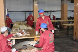 IMG_4462_1469611484_353