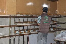 img_5491_1469611490_130